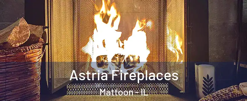  Astria Fireplaces Mattoon - IL