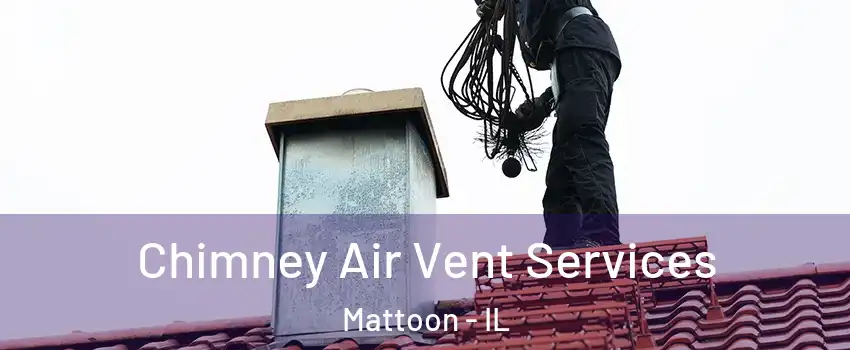  Chimney Air Vent Services Mattoon - IL