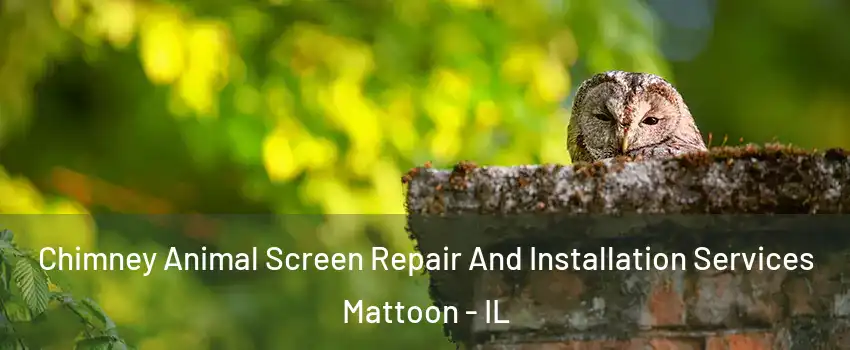  Chimney Animal Screen Repair And Installation Services Mattoon - IL