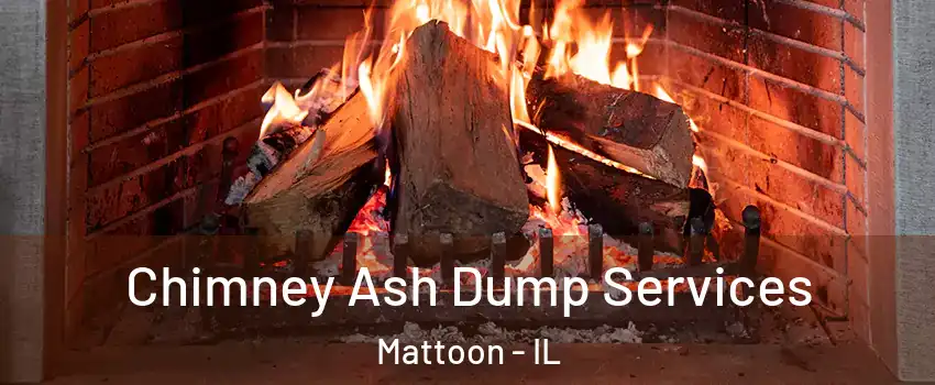  Chimney Ash Dump Services Mattoon - IL