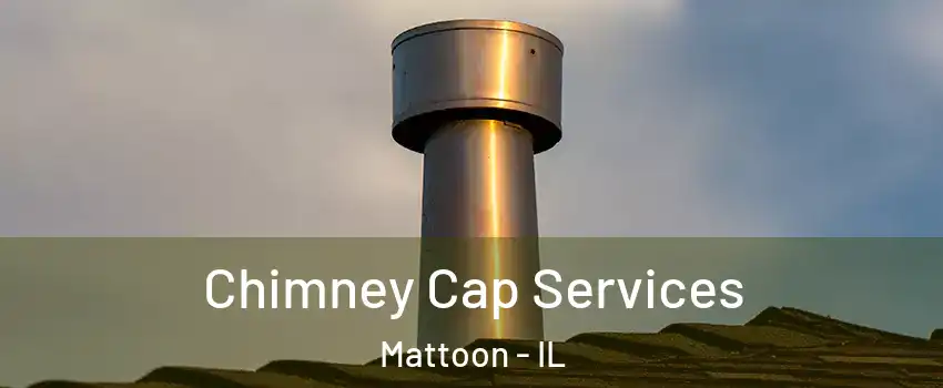  Chimney Cap Services Mattoon - IL