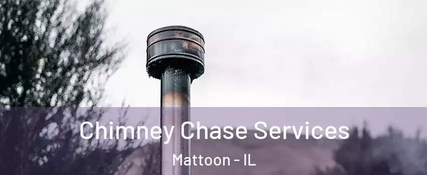  Chimney Chase Services Mattoon - IL