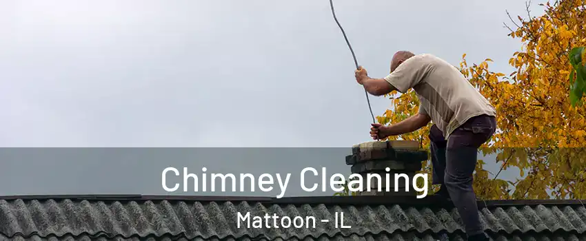  Chimney Cleaning Mattoon - IL