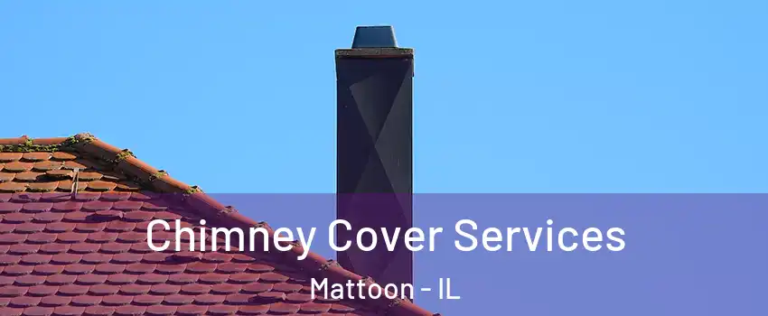  Chimney Cover Services Mattoon - IL