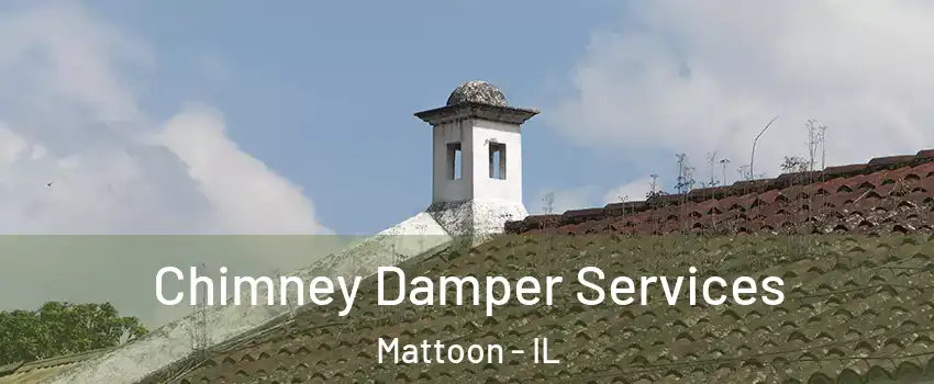  Chimney Damper Services Mattoon - IL