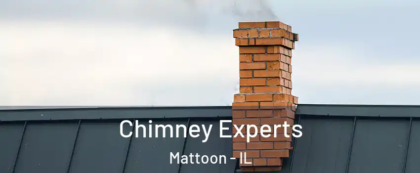  Chimney Experts Mattoon - IL