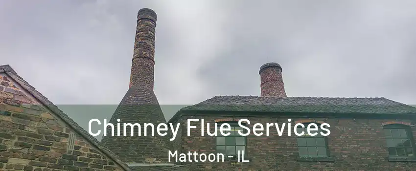  Chimney Flue Services Mattoon - IL