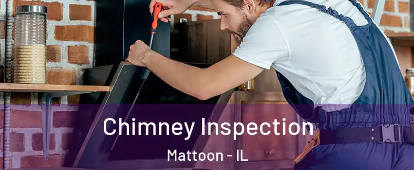  Chimney Inspection Mattoon - IL