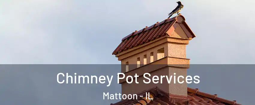  Chimney Pot Services Mattoon - IL
