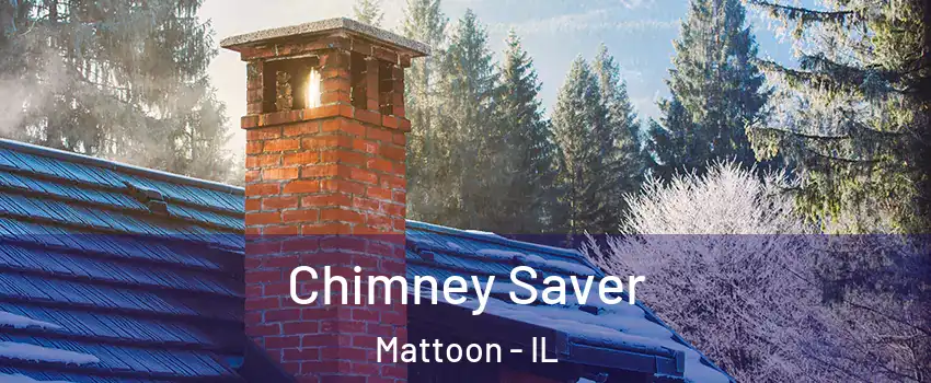  Chimney Saver Mattoon - IL