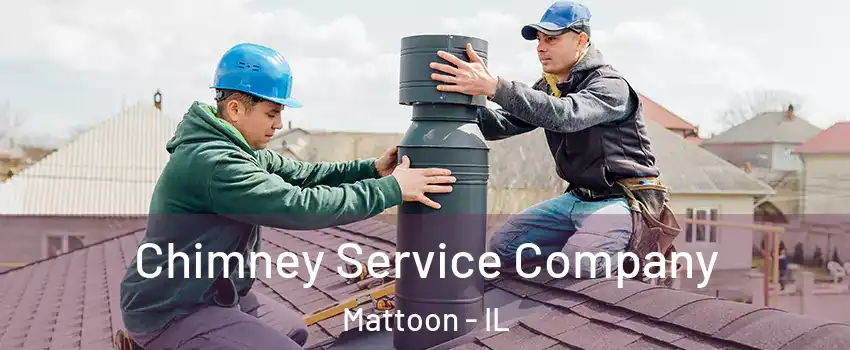  Chimney Service Company Mattoon - IL