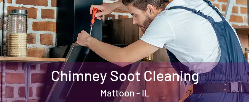  Chimney Soot Cleaning Mattoon - IL