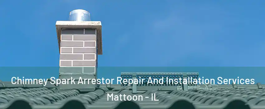  Chimney Spark Arrestor Repair And Installation Services Mattoon - IL