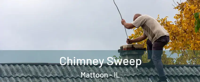  Chimney Sweep Mattoon - IL