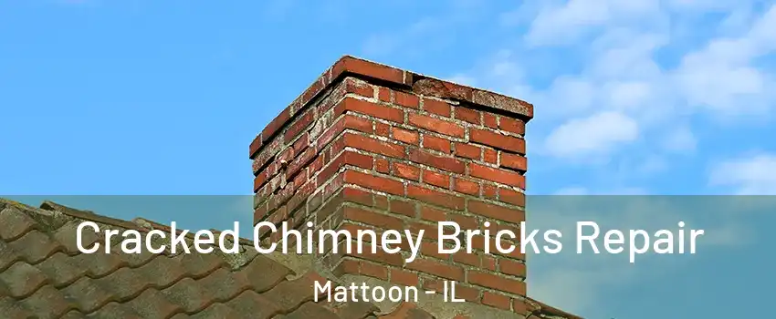  Cracked Chimney Bricks Repair Mattoon - IL