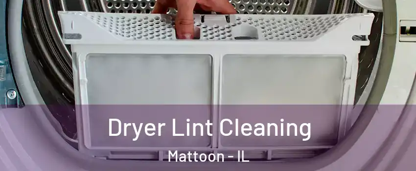  Dryer Lint Cleaning Mattoon - IL