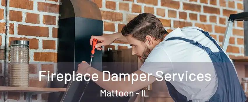  Fireplace Damper Services Mattoon - IL