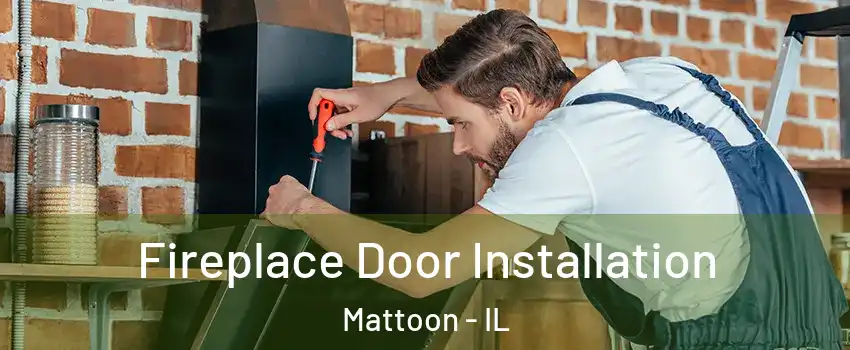  Fireplace Door Installation Mattoon - IL