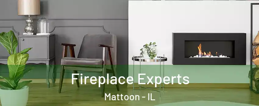  Fireplace Experts Mattoon - IL