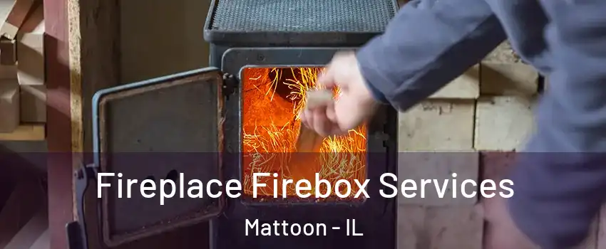  Fireplace Firebox Services Mattoon - IL