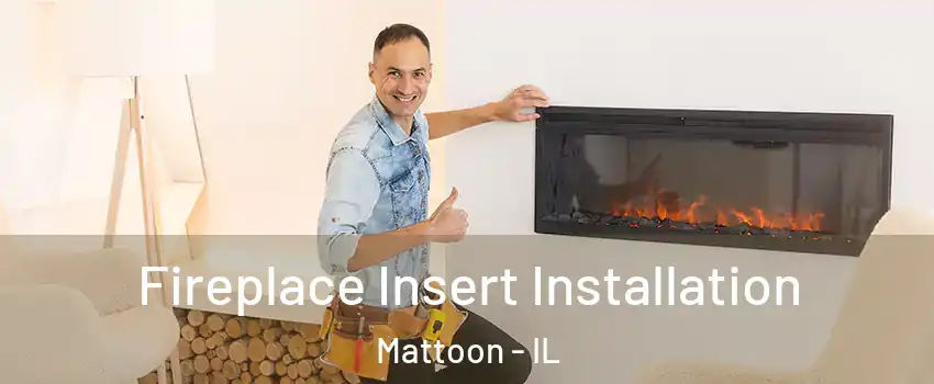 Fireplace Insert Installation Mattoon - IL