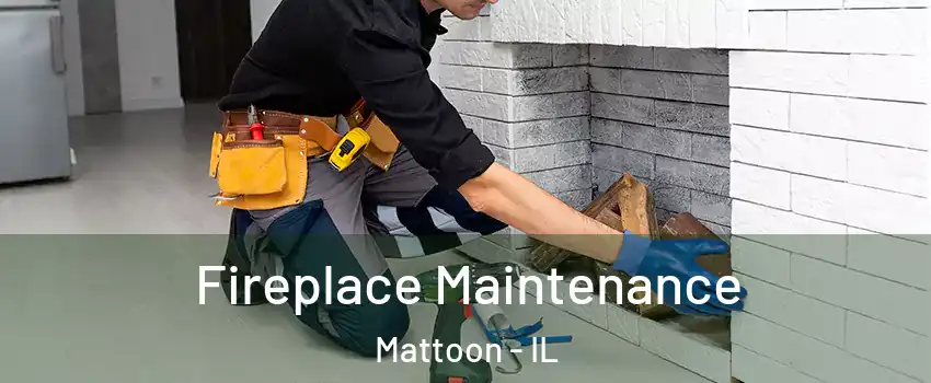  Fireplace Maintenance Mattoon - IL