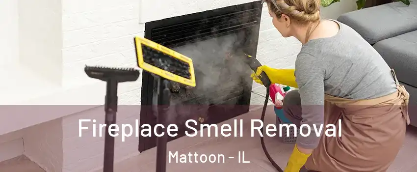  Fireplace Smell Removal Mattoon - IL
