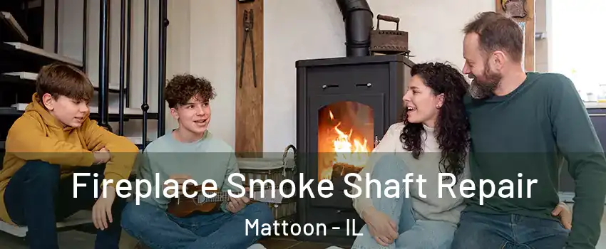  Fireplace Smoke Shaft Repair Mattoon - IL