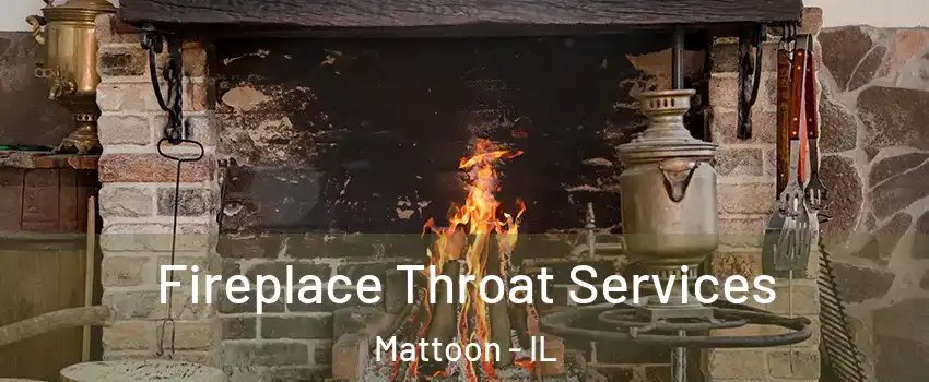  Fireplace Throat Services Mattoon - IL