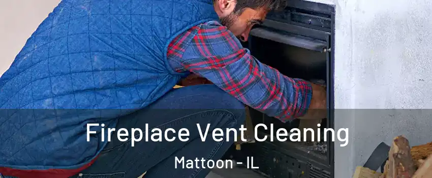  Fireplace Vent Cleaning Mattoon - IL