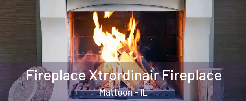  Fireplace Xtrordinair Fireplace Mattoon - IL