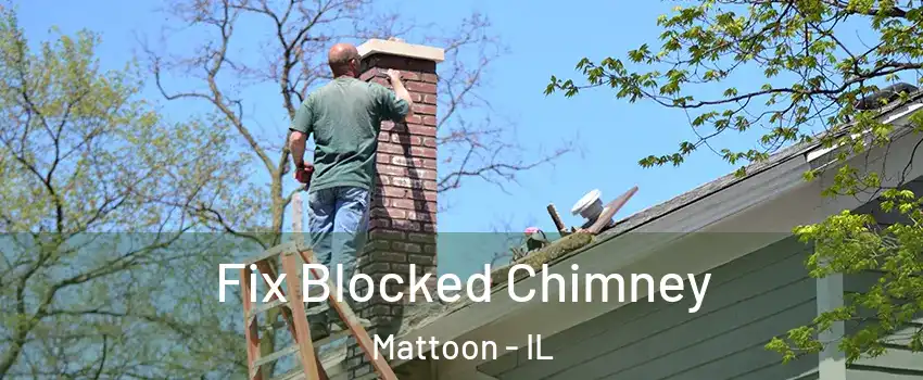  Fix Blocked Chimney Mattoon - IL