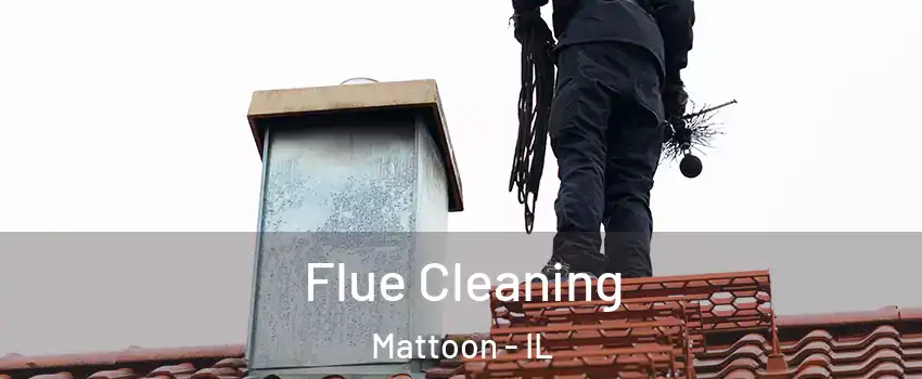  Flue Cleaning Mattoon - IL