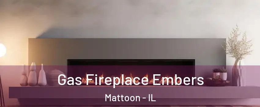  Gas Fireplace Embers Mattoon - IL
