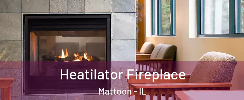  Heatilator Fireplace Mattoon - IL