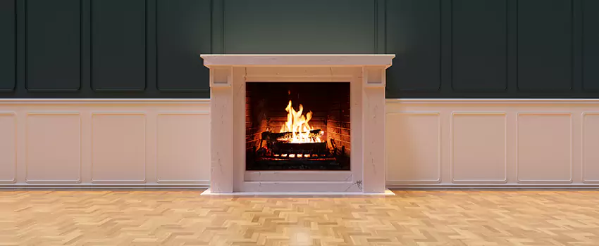 Napoleon Electric Fireplaces Inspection Service in Mattoon, Illinois