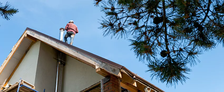Birds Removal Contractors from Chimney in Mattoon, IL