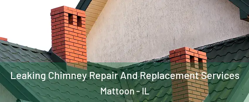 Leaking Chimney Repair And Replacement Services Mattoon - IL