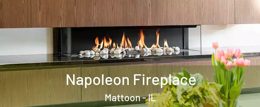  Napoleon Fireplace Mattoon - IL