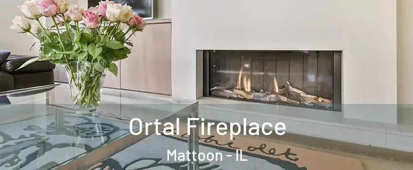  Ortal Fireplace Mattoon - IL