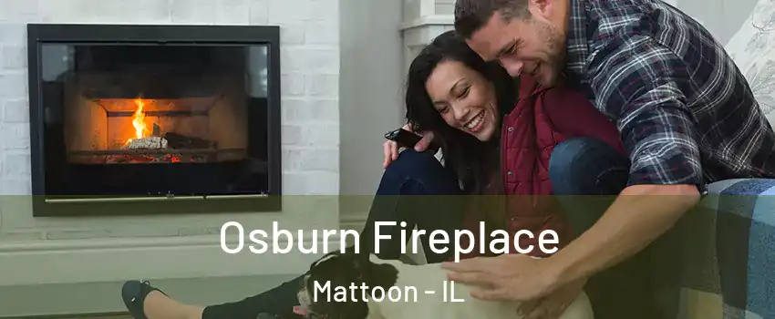  Osburn Fireplace Mattoon - IL