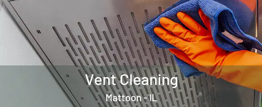  Vent Cleaning Mattoon - IL